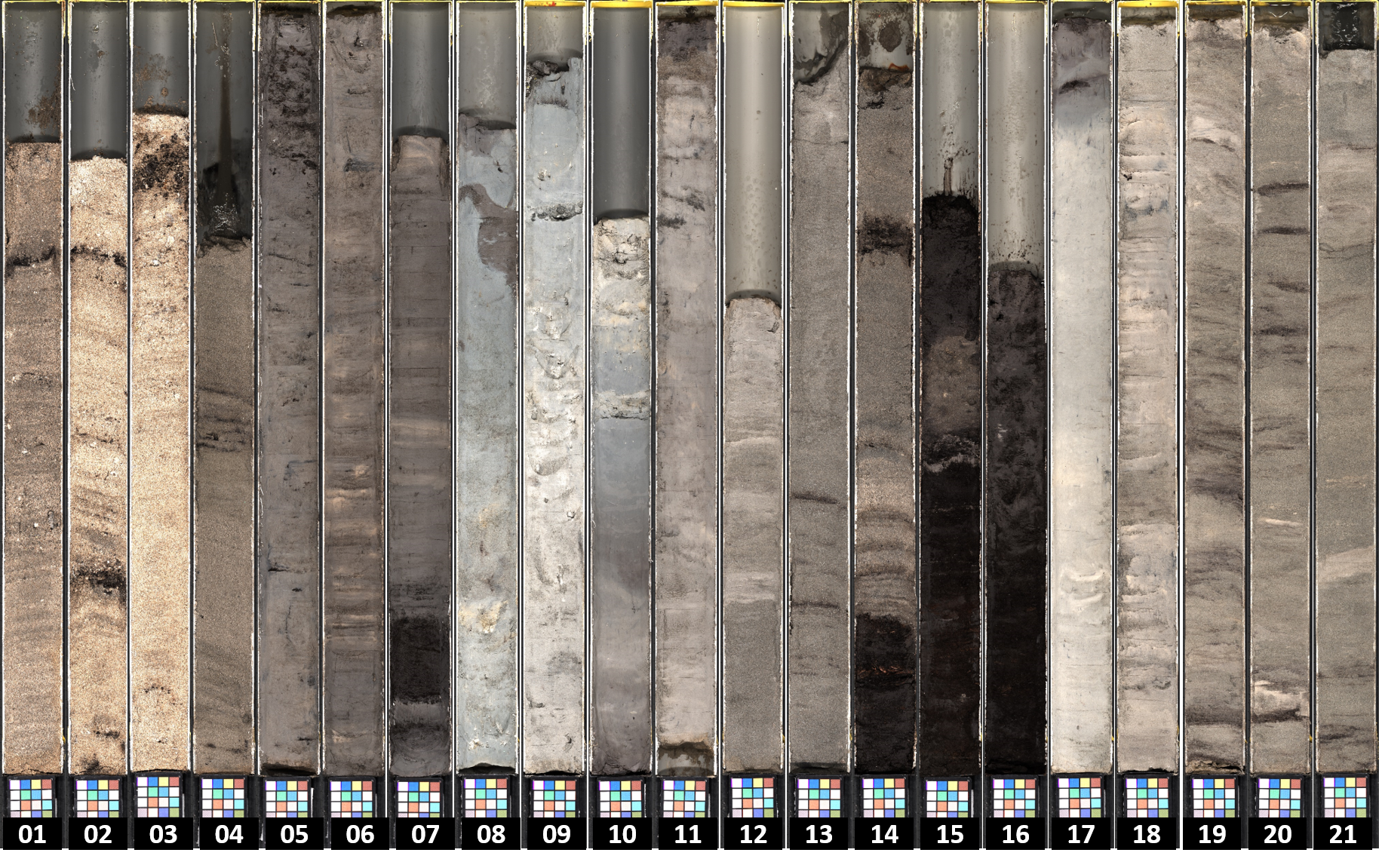 Photograph of core sections showing the different sediment types from one of the RISeR cores